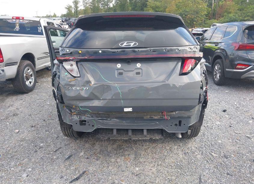 Photo 6 of 2024 Hyundai Tucson SEL (VIN 5NMJB3DE3RH397027)