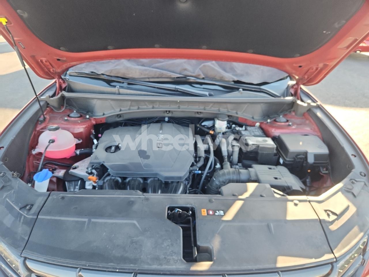 Photo 11 of 2024 HYUNDAI TUCSON SEL (VIN 5NMJB3DE3RH415171)