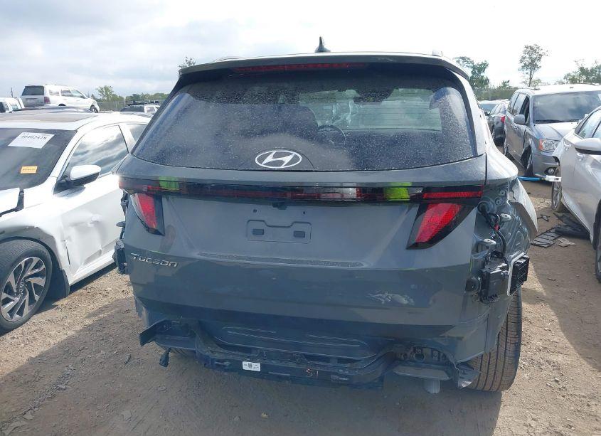 Photo 16 of 2024 Hyundai Tucson SEL (VIN 5NMJB3DE3RH421522)
