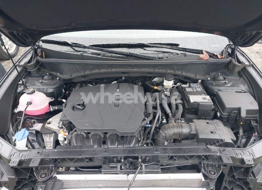 Photo 10 of 2024 Hyundai Tucson SEL (VIN 5NMJB3DE3RH425599)