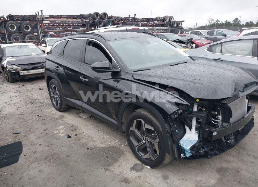 Photo 14 of 2024 Hyundai Tucson SEL (VIN 5NMJB3DE3RH425599)