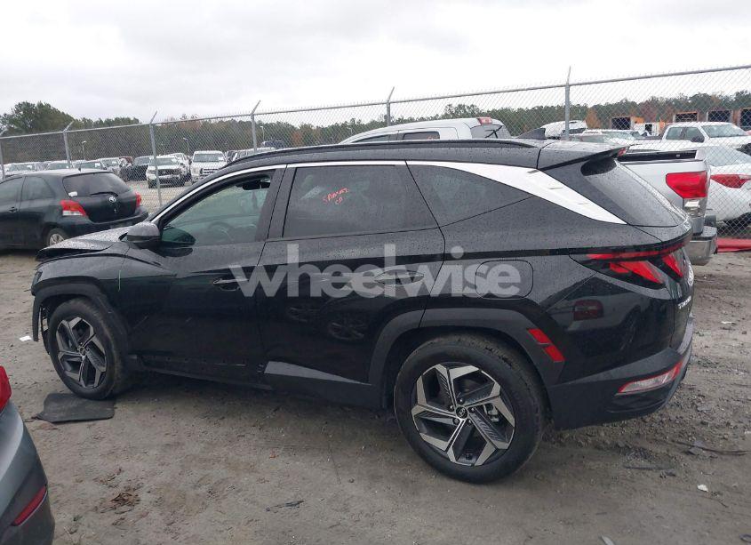 Photo 15 of 2024 Hyundai Tucson SEL (VIN 5NMJB3DE3RH425599)