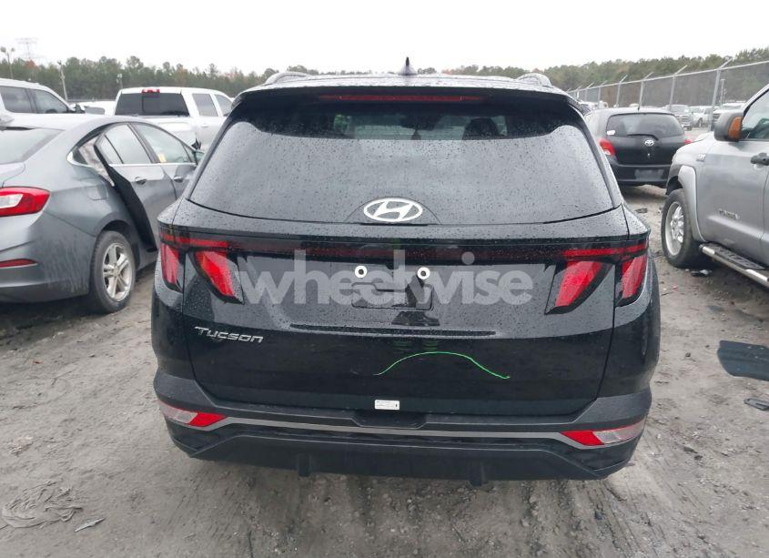 Photo 17 of 2024 Hyundai Tucson SEL (VIN 5NMJB3DE3RH425599)