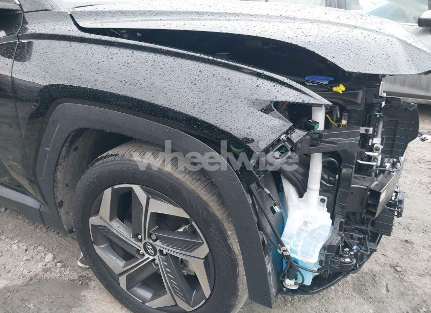 Photo 18 of 2024 Hyundai Tucson SEL (VIN 5NMJB3DE3RH425599)