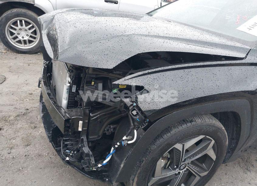 Photo 19 of 2024 Hyundai Tucson SEL (VIN 5NMJB3DE3RH425599)