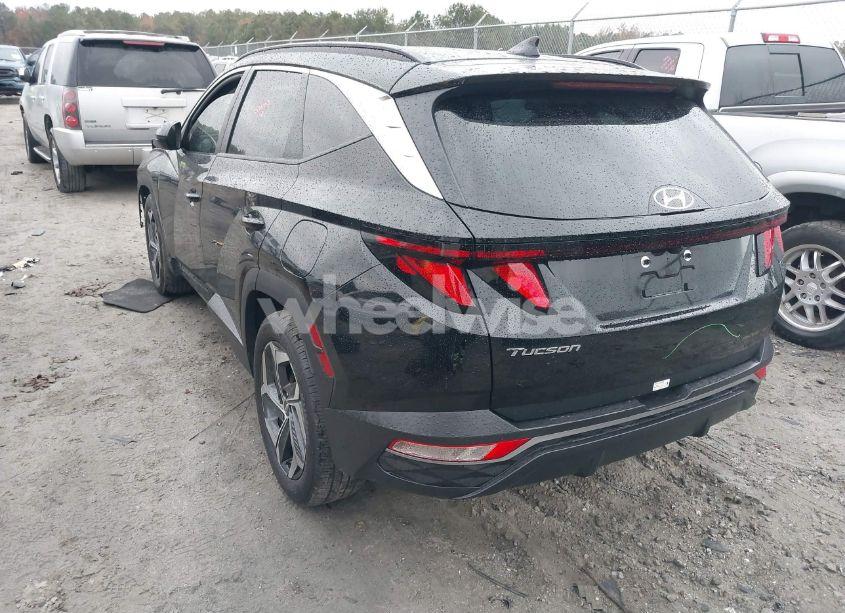 Photo 3 of 2024 Hyundai Tucson SEL (VIN 5NMJB3DE3RH425599)