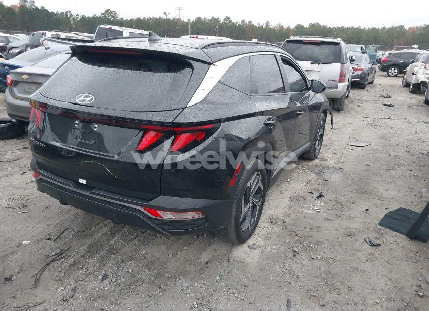 Photo 4 of 2024 Hyundai Tucson SEL (VIN 5NMJB3DE3RH425599)