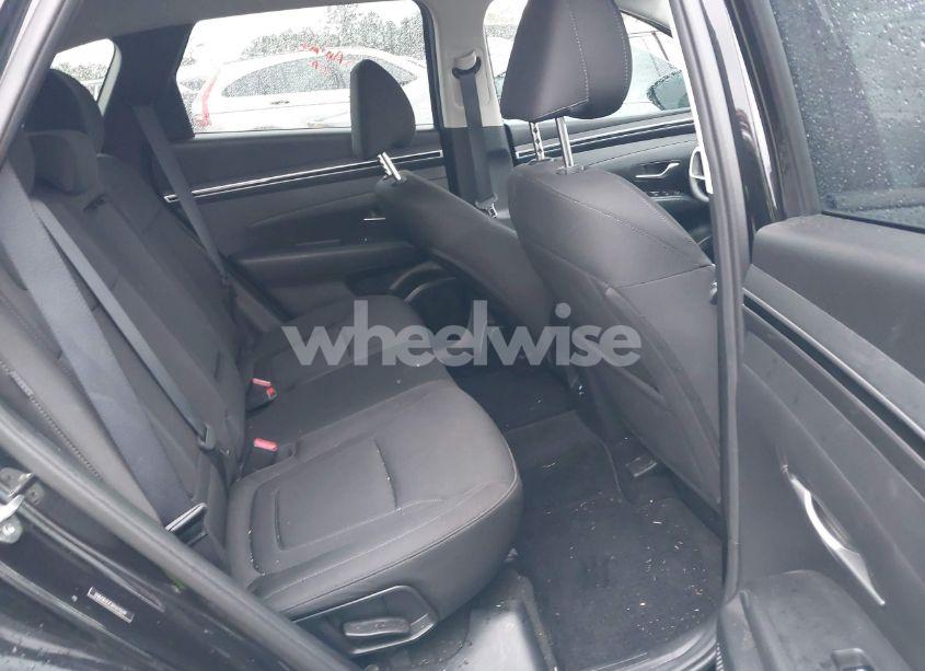 Photo 8 of 2024 Hyundai Tucson SEL (VIN 5NMJB3DE3RH425599)