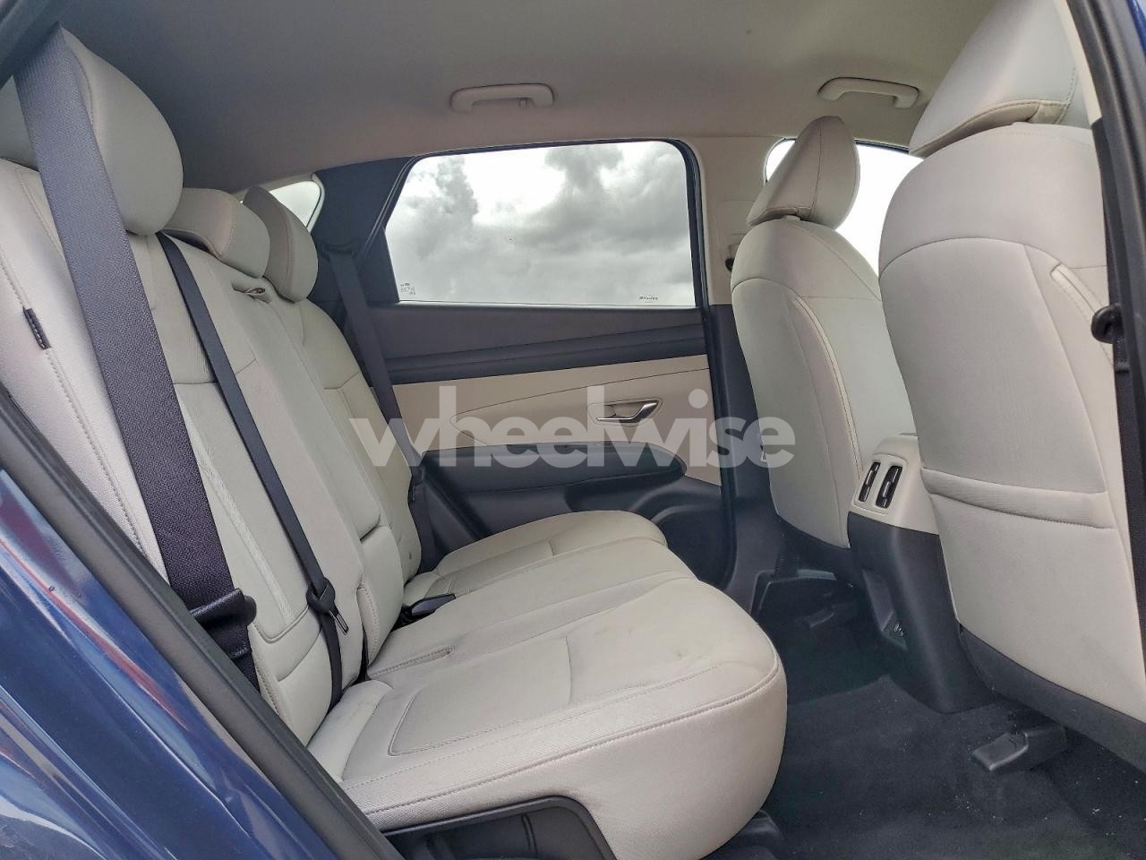 Photo 11 of 2025 HYUNDAI TUCSON SEL (VIN 5NMJB3DE3SH492208)