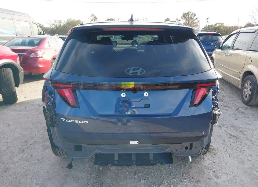Photo 16 of 2025 Hyundai Tucson SEL (VIN 5NMJB3DE3SH502977)