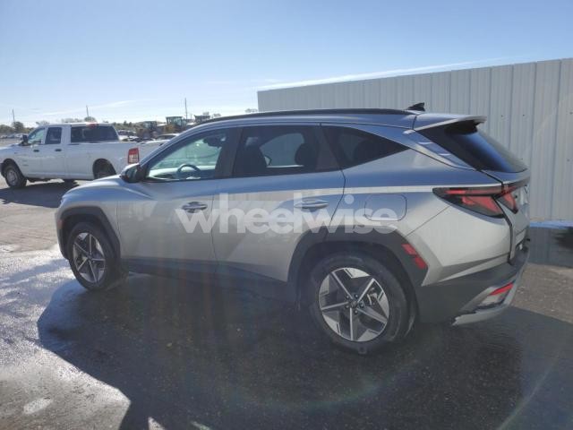 Photo 13 of 2025 HYUNDAI TUCSON SEL (VIN 5NMJB3DE3SH508312)
