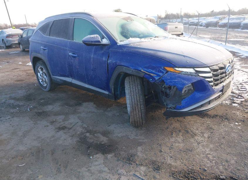 2024 Hyundai Tucson SEL (VIN 5NMJB3DE4RH298278) main photo