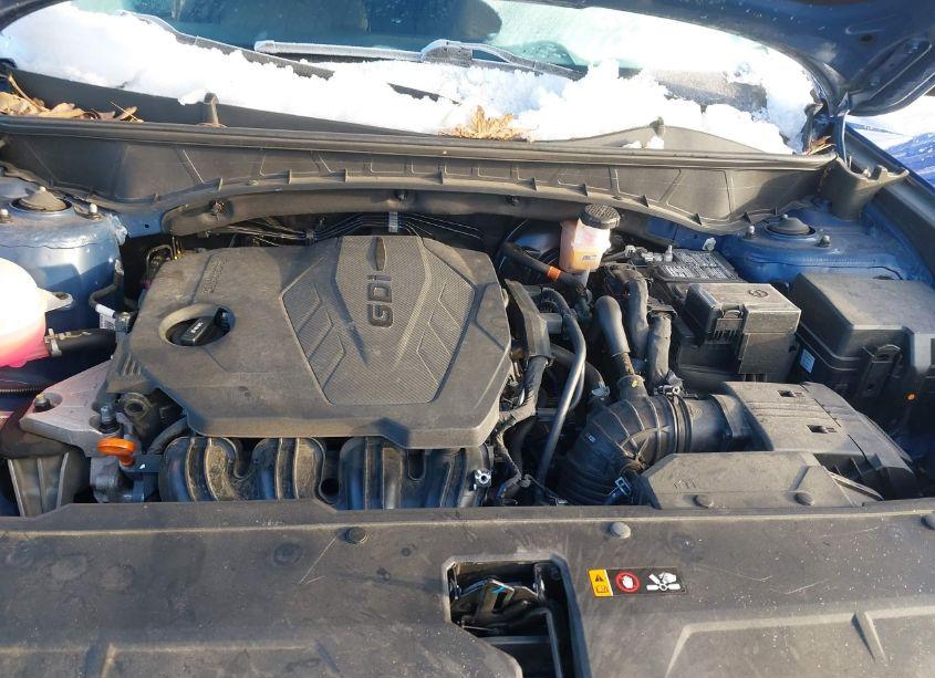 Photo 10 of 2024 Hyundai Tucson SEL (VIN 5NMJB3DE4RH298278)