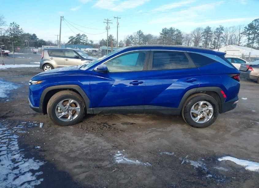 Photo 14 of 2024 Hyundai Tucson SEL (VIN 5NMJB3DE4RH298278)