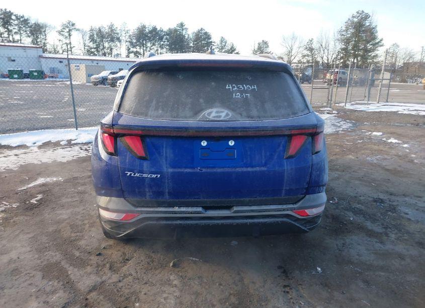 Photo 16 of 2024 Hyundai Tucson SEL (VIN 5NMJB3DE4RH298278)