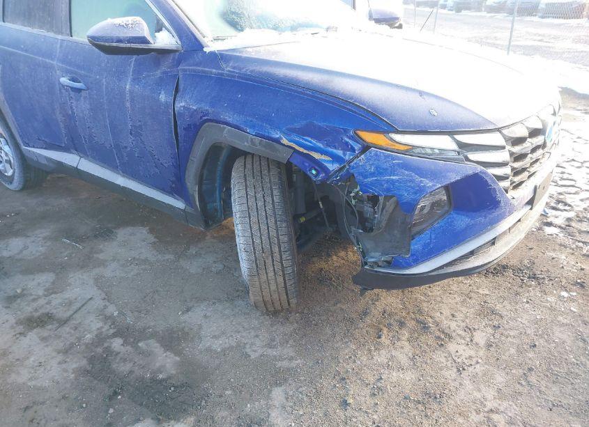 Photo 6 of 2024 Hyundai Tucson SEL (VIN 5NMJB3DE4RH298278)