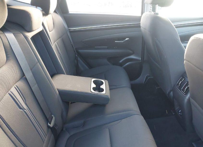 Photo 8 of 2024 Hyundai Tucson SEL (VIN 5NMJB3DE4RH298278)