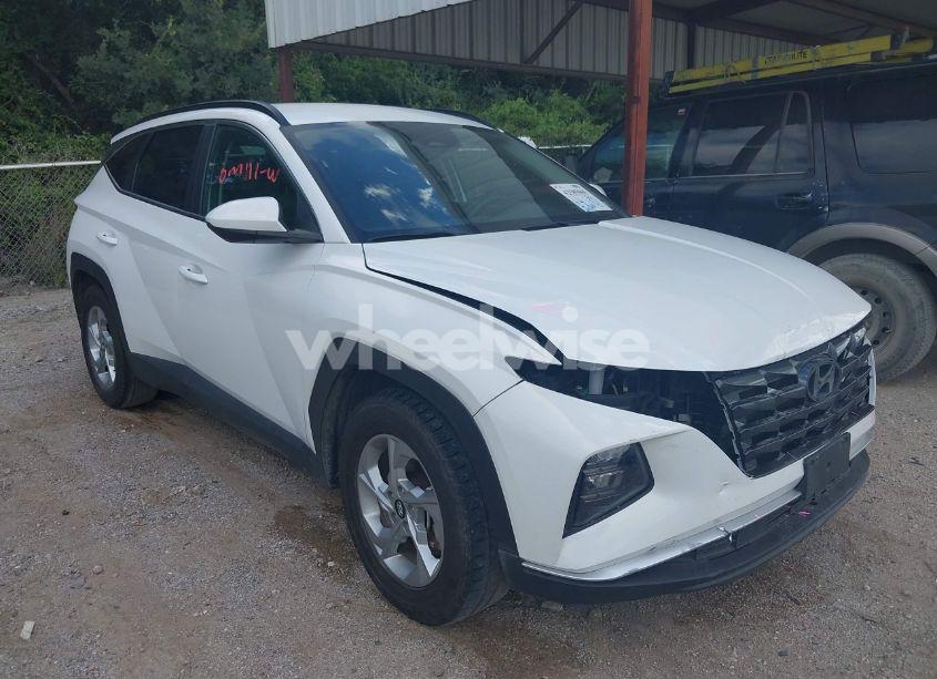 2024 Hyundai Tucson SEL (VIN 5NMJB3DE4RH352646) main photo