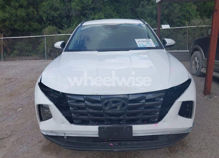 Photo 12 of 2024 Hyundai Tucson SEL (VIN 5NMJB3DE4RH352646)