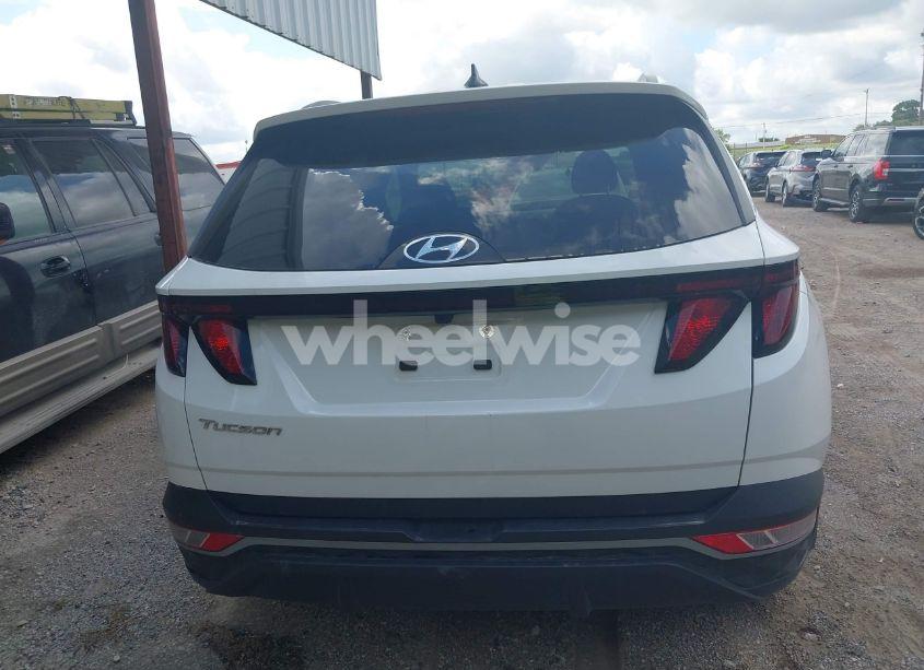 Photo 16 of 2024 Hyundai Tucson SEL (VIN 5NMJB3DE4RH352646)