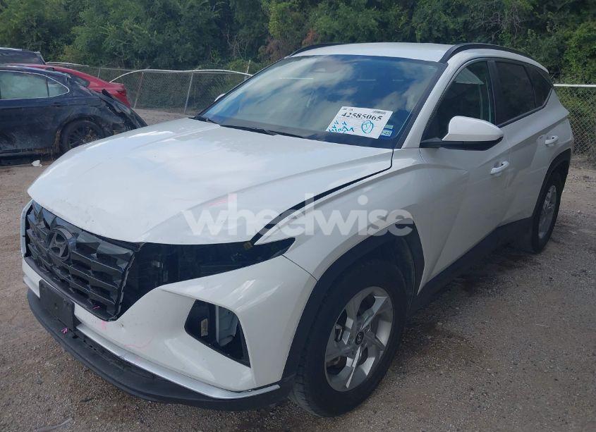 Photo 2 of 2024 Hyundai Tucson SEL (VIN 5NMJB3DE4RH352646)