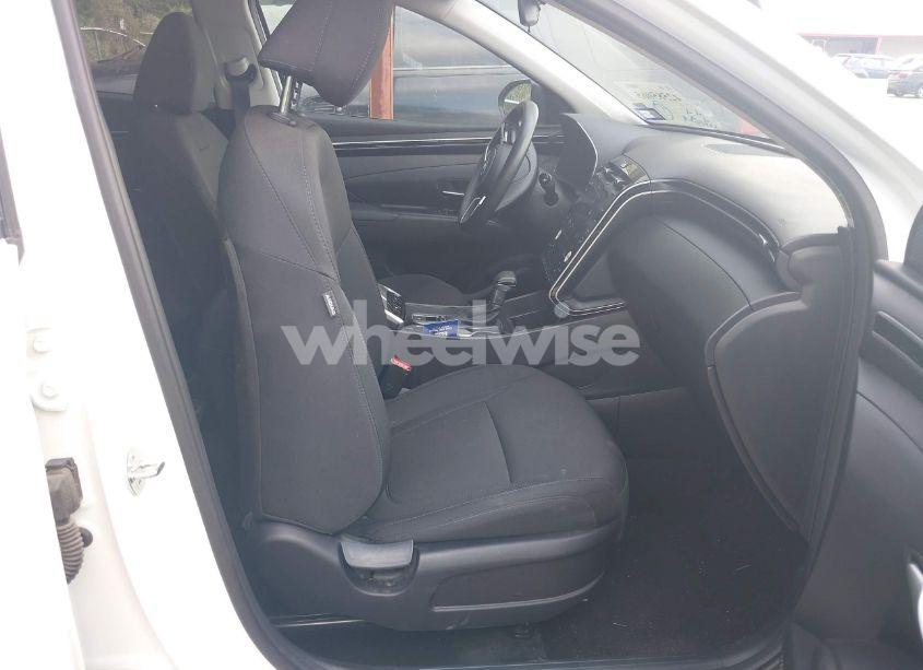 Photo 5 of 2024 Hyundai Tucson SEL (VIN 5NMJB3DE4RH352646)