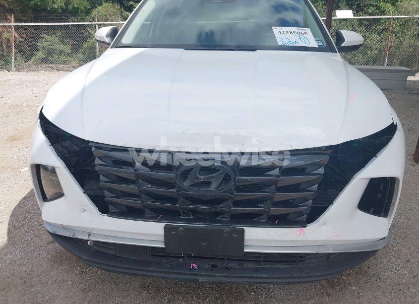 Photo 6 of 2024 Hyundai Tucson SEL (VIN 5NMJB3DE4RH352646)