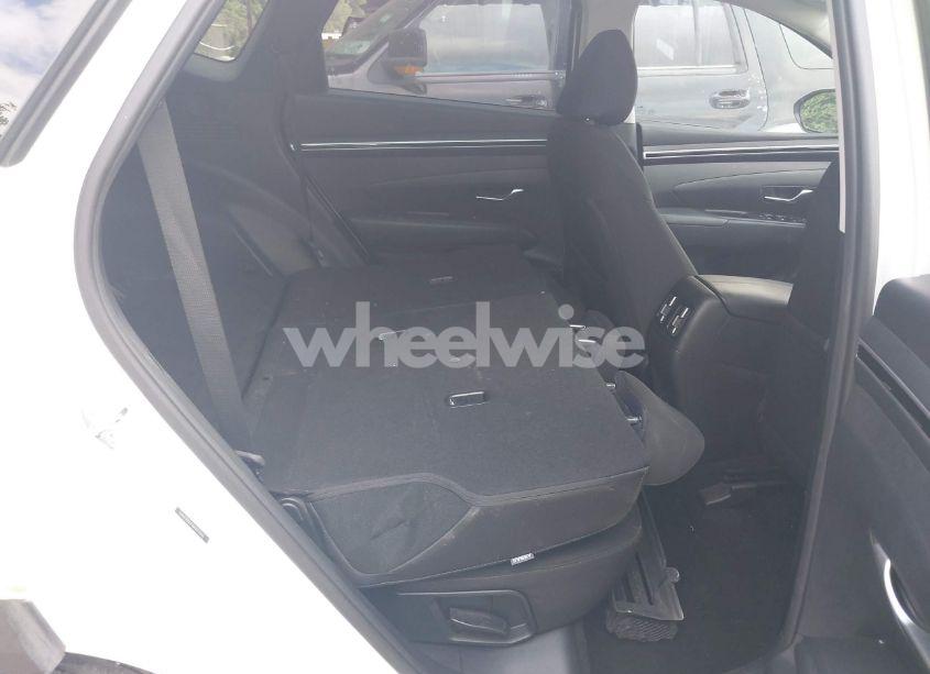 Photo 8 of 2024 Hyundai Tucson SEL (VIN 5NMJB3DE4RH352646)