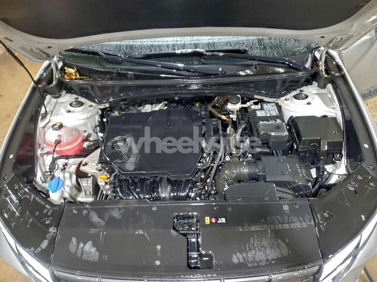 Photo 12 of 2024 HYUNDAI TUCSON SEL (VIN 5NMJB3DE4RH353750)