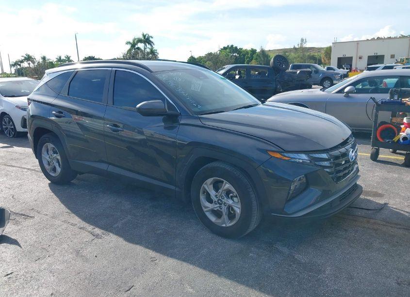 2024 Hyundai Tucson SEL (VIN 5NMJB3DE4RH356986) main photo