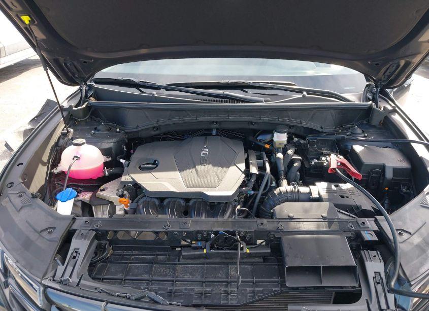 Photo 10 of 2024 Hyundai Tucson SEL (VIN 5NMJB3DE4RH356986)