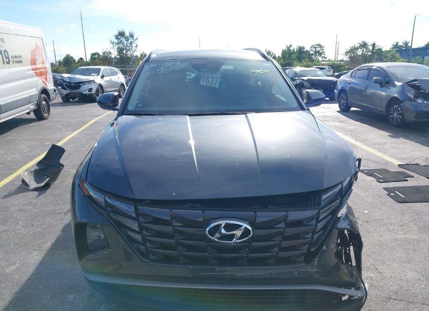 Photo 12 of 2024 Hyundai Tucson SEL (VIN 5NMJB3DE4RH356986)