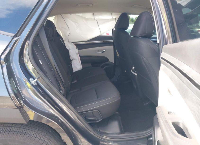 Photo 8 of 2024 Hyundai Tucson SEL (VIN 5NMJB3DE4RH356986)
