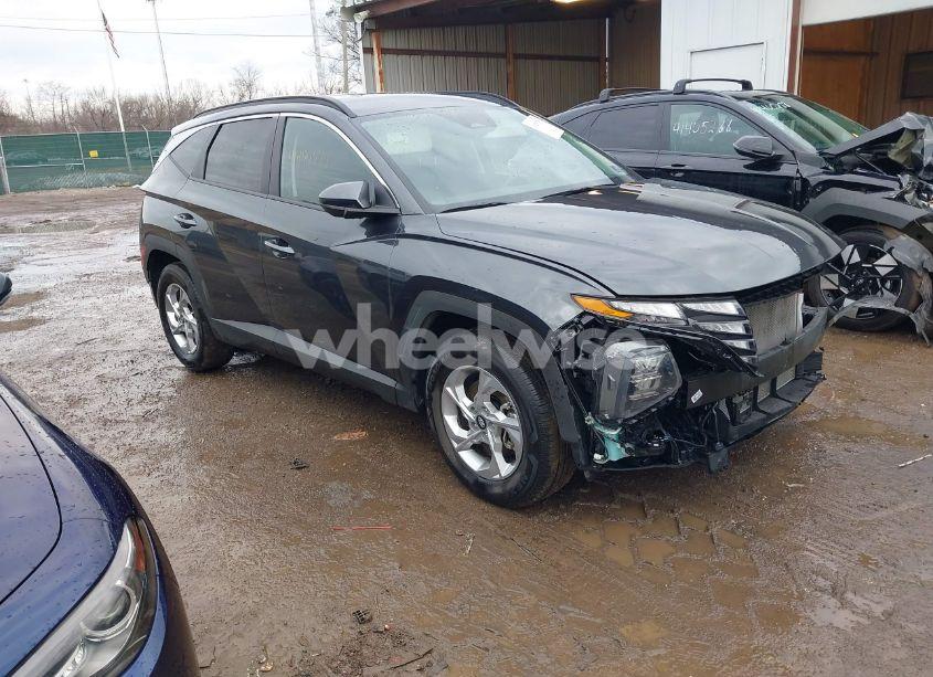 2024 Hyundai Tucson SEL (VIN 5NMJB3DE4RH363419) main photo