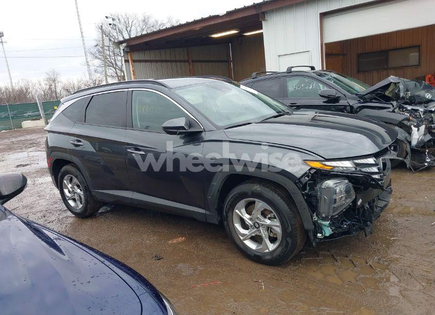 Photo 14 of 2024 Hyundai Tucson SEL (VIN 5NMJB3DE4RH363419)