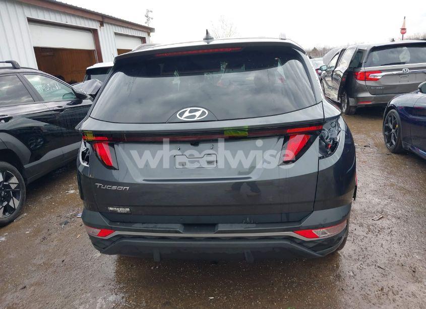Photo 17 of 2024 Hyundai Tucson SEL (VIN 5NMJB3DE4RH363419)