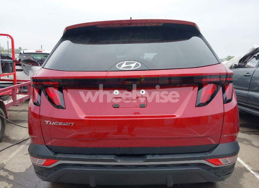 Photo 16 of 2024 Hyundai Tucson SEL (VIN 5NMJB3DE4RH416927)