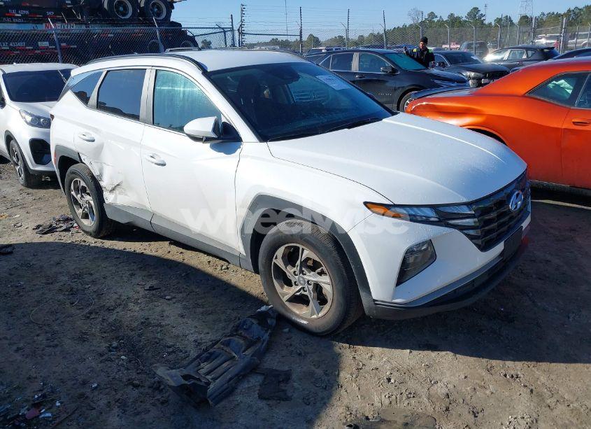 2024 Hyundai Tucson SEL (VIN 5NMJB3DE4RH421898) main photo