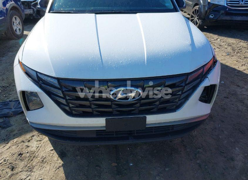 Photo 12 of 2024 Hyundai Tucson SEL (VIN 5NMJB3DE4RH421898)