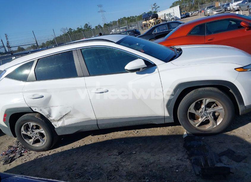 Photo 13 of 2024 Hyundai Tucson SEL (VIN 5NMJB3DE4RH421898)