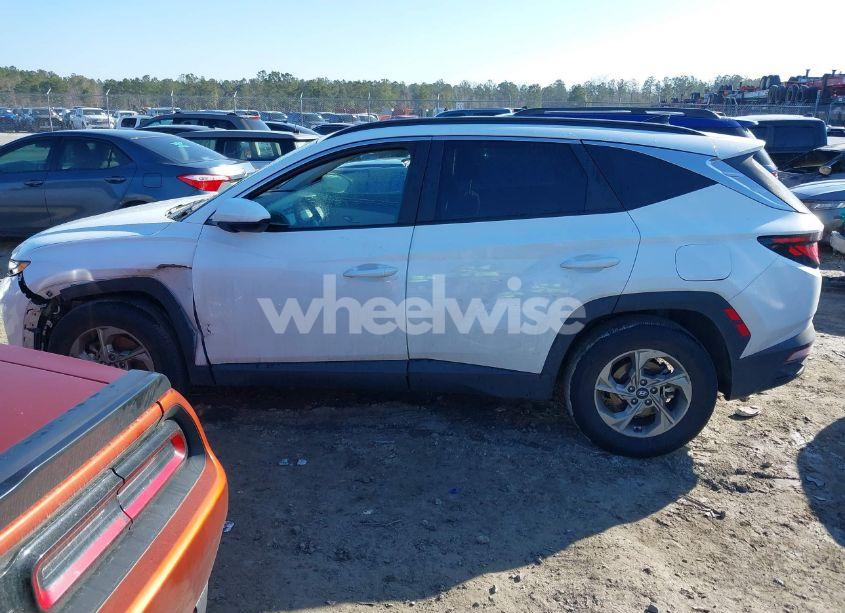 Photo 14 of 2024 Hyundai Tucson SEL (VIN 5NMJB3DE4RH421898)