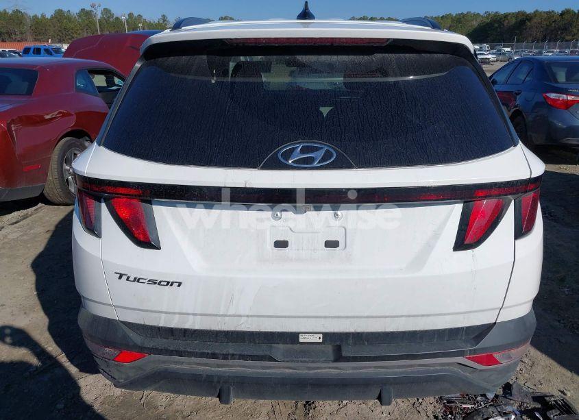 Photo 16 of 2024 Hyundai Tucson SEL (VIN 5NMJB3DE4RH421898)