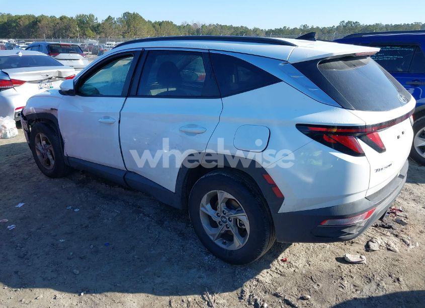 Photo 3 of 2024 Hyundai Tucson SEL (VIN 5NMJB3DE4RH421898)