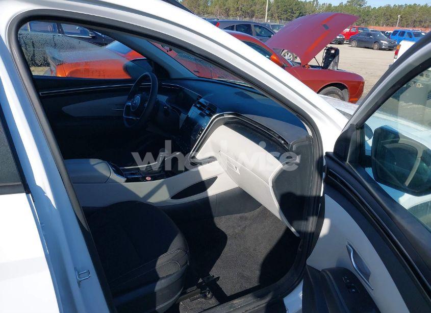 Photo 5 of 2024 Hyundai Tucson SEL (VIN 5NMJB3DE4RH421898)