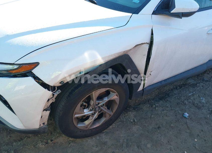 Photo 6 of 2024 Hyundai Tucson SEL (VIN 5NMJB3DE4RH421898)