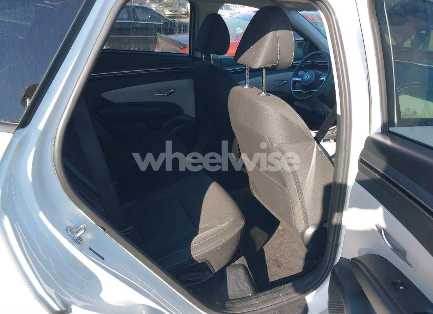 Photo 8 of 2024 Hyundai Tucson SEL (VIN 5NMJB3DE4RH421898)