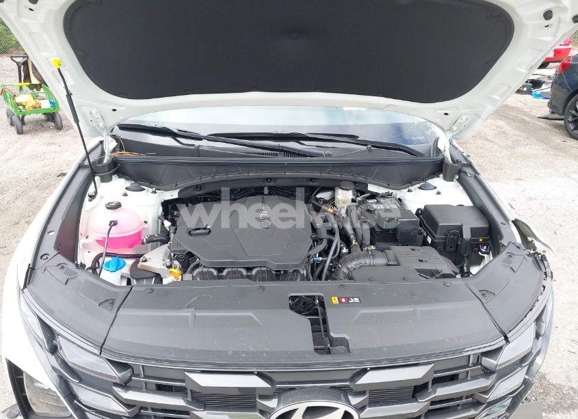 Photo 10 of 2025 Hyundai Tucson SEL (VIN 5NMJB3DE4SH445270)