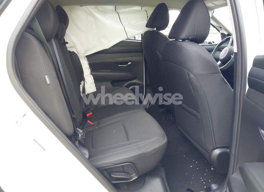 Photo 8 of 2025 Hyundai Tucson SEL (VIN 5NMJB3DE4SH445270)