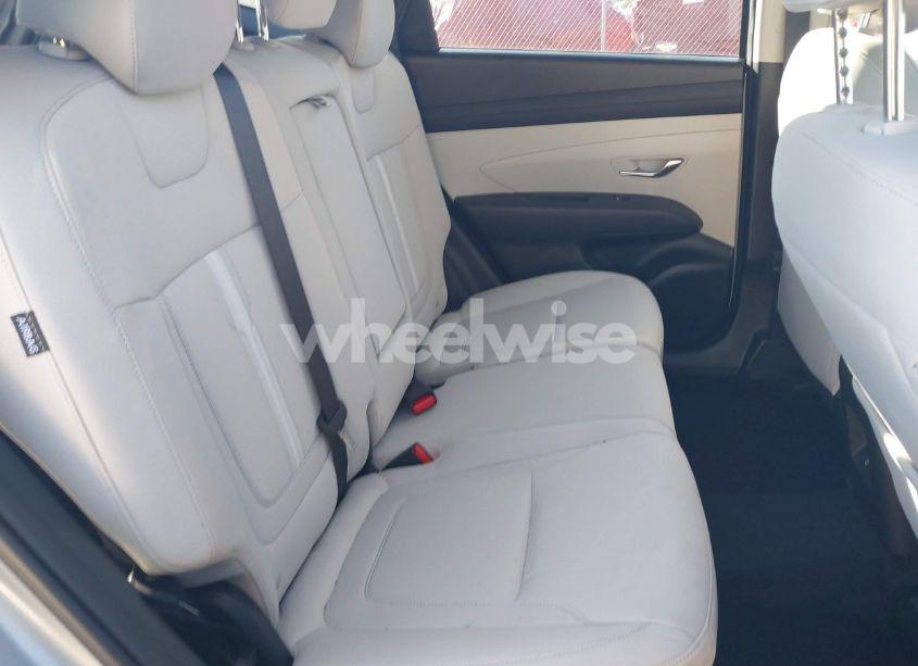 Photo 8 of 2025 Hyundai Tucson SEL (VIN 5NMJB3DE4SH468323)