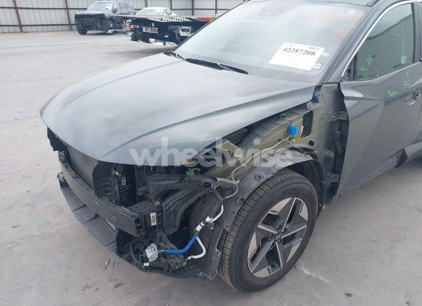 Photo 6 of 2025 Hyundai Tucson SEL (VIN 5NMJB3DE4SH479399)